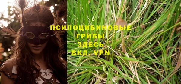 бошки Алексеевка